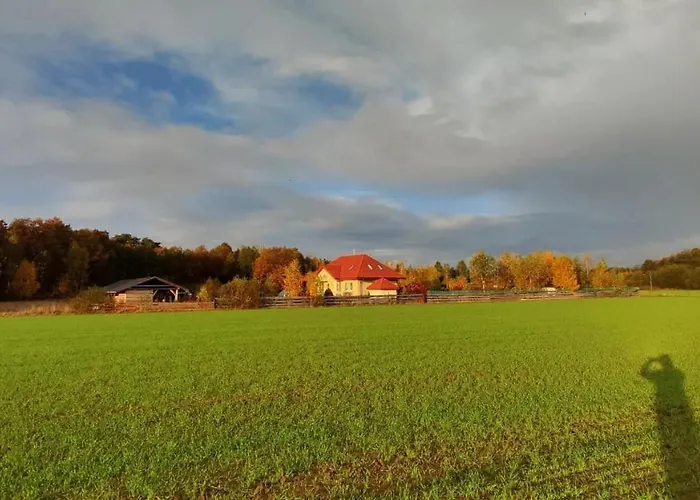 Sielski Dom Holiday home Nowe Miasto (Plonsk)