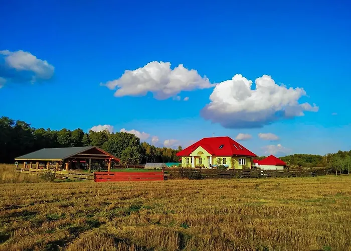 Sielski Dom * Nowe Miasto (Plonsk)
